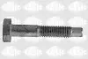 Болт M10x1.5 SASIC (5223433) изображение 1