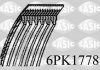 Автозапчастина SASIC 6PK1778 (фото 1)