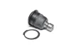 Опора шаровая (передняя/снизу) Nissan Qashqai/X-Trail 07-/Murano 03- (d=20mm) SASIC (7574018) изображение 1