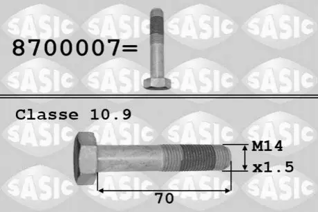 Болт шестеренки коленчатого вала M14X1,5X79 CITROEN SASIC 8700007