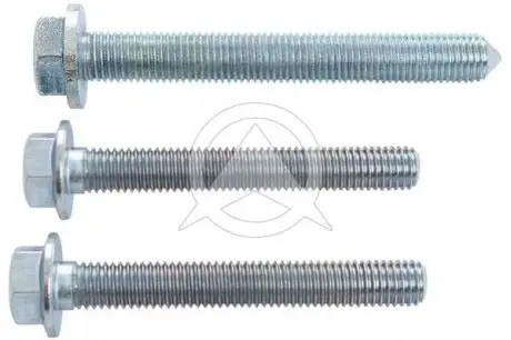 К-кт болтів сайлентблока переднього Skoda Octavia II,III/Caddy III/Golf V,VI/Touran 03 SIDEM 37004 Купити в Україні