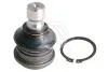 Фото Опора кульова (передня/знизу) Hyundai Santa Fe 01-12/Trajet 00-08/Kia Sorento 09- (d=20mm/43mm) SIDEM (87283) зображення 1