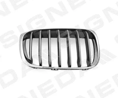 РЕШІТКА РАДІАТОРА | BMW X1 (F48), 15 - Signeda PBM07127GAR Купити в Україні