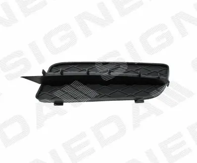 РЕШІТКА В БАМПЕР | BMW X5 (E70), 10.06 - 04.10 Signeda PBM99113CAL