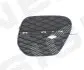 Решетка в бампер BMW X5 (E70), 04.10 - 11.13 Signeda (PBM99114CAR) изображение 1