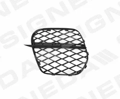 РЕШІТКА В БАМПЕР | BMW X5 (E70), 04.10 - 11.13 Signeda PBM99115CAL Купити в Україні