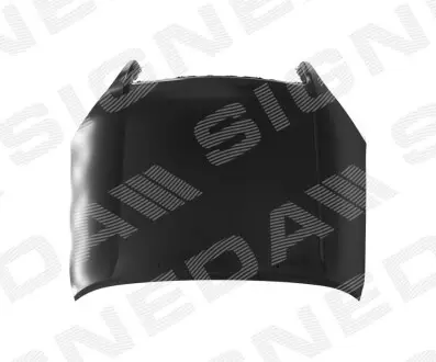 Капот Signeda PTY20134A Купити в Україні