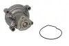 Насос охолоджуючої рідини, з ущільненням AUDI A3 SEAT CORDOBA, IBIZA III, IBIZA IV, IBIZA IV SC, TOLEDO IV SKODA FABIA II, OCTAVIA II, RAPID, ROOMSTER VW EOS 1.6/1.6LPG 02.03-04.18 SIL (PA1271) зображення 2