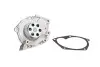 Насос охолоджуючої рідини, з ущільненням RENAULT GRAND SCENIC III, LAGUNA II, MEGANE, MEGANE III, SCENIC III SUZUKI GRAND VITARA II 1.9D 03.01-09.16 SIL (PA1495) зображення 2