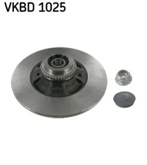 Диск тормозной z ioiyskiem RENAULT SKF VKBD1025