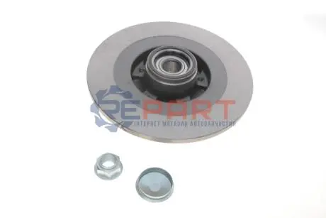 Гальмівний диск із підшипником задн Лів/Прав RENAULT GRAND SCENIC III, SCENIC III 1.2-2.0D 02.09-09.16 SKF VKBD1029 Купити в Україні