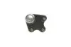 Фото Опора кульова (передня/знизу/L) Audi A1 10-/Seat Ibiza 02-15/Skoda Fabia 99-14/Rapid 12-/VW Polo 01 SKF (VKDS311003) зображення 3