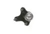 Фото Опора кульова (передня/знизу/R) Audi A3/Seat/Skoda Octavia/SuperB/VW Caddy/Golf/Touran/Tiguan 03 SKF (VKDS311009) зображення 2