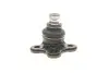 Фото Опора кульова (передня/знизу/R) Renault Kangoo/MB Citan (W415) 1.2-1.6 08 SKF (VKDS316017) зображення 5