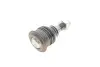 Фото Опора кульова (передня/знизу) Nissan Almera 00-06 SKF (VKDS812005) зображення 2