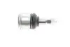 Фото Опора кульова (передня/знизу) Honda Accord VII 2.0/2.2D/2.4 03-08 SKF (VKDS813004) зображення 4