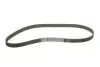 Фото Комплект ГРМ (ремінь + ролик) AUDI 80 B2, 80 B3, 90 B3 VW CADDY I, GOLF I, GOLF II, ILTIS, JETTA I, JETTA II, PASSAT B1, PASSAT B2, PASSAT B3/B4, SANTANA, TRANSPORTER T3 1.5D/1.6D/1.7D 08.76-10.93 SKF (VKMA01010) зображення 2