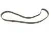 Комплект (ремень+ролики)) SKF (VKMA02192) изображение 5