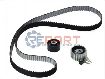 Комплект ГРМ Fiat Doblo/Ducato 2.0D Multijet 10- SKF VKMA02193 Купити в Україні