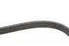 Фото Поликлиновой ременный комплект SKF (VKMA 31098) изображение 3
