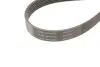 Фото Поликлиновой ременный комплект SKF (VKMA 31098) изображение 4