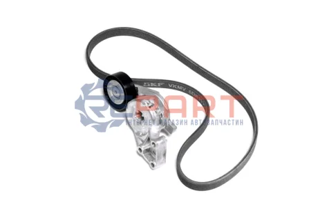 Комплект поликлинових ременів (з роликами) AUDI A3, TT SEAT ALHAMBRA, CORDOBA, CORDOBA VARIO, IBIZA II, LEON, TOLEDO II SKODA OCTAVIA I VW BORA, BORA I, CADDY III 1.6-2.0LPG 09.95-08.15 SKF VKMA 31204 Купити в Україні
