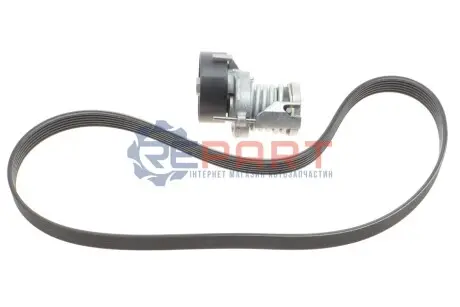 Комплект поликлинових ременів (з роликами) AUDI A2 SEAT CORDOBA, IBIZA III, IBIZA IV, IBIZA IV SC, IBIZA IV ST, LEON, TOLEDO II SKODA FABIA I, FABIA I PRAKTIK 1.4/1.4LPG/1.6 08.95-05.15 SKF VKMA31216 Купити в Україні