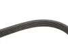 Фото Комплект поликлинових ременів (з роликами) CHEVROLET MALIBU OPEL INSIGNIA A, INSIGNIA A COUNTRY 2.0D 07.08 SKF (VKMA35359) зображення 3