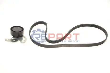 Фото Комплект дорожного ремня SKF (VKMA36036) изображение 1