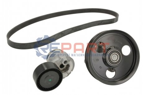 Комплект доріжкових пасків - (1172000Q1W, 1172000QA2, 117201KC0A) SKF VKMA36051 (фото 1)