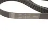 Фото Комплект дорожного ремня SKF (VKMA36073) изображение 5