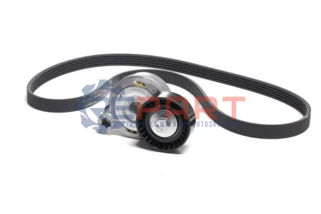 Фото Комплект дорожного ремня SKF (VKMA36244) изображение 1