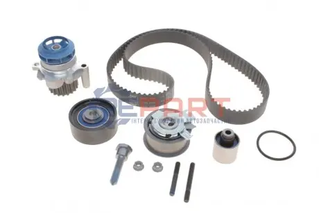 Фото 1 — Комплект ГРМ + помпа Skoda Octavia/VW Passat 2.0 TDI 04-13 SKF (VKMC012591) Фото Комплект ГРМ + помпа Skoda Octavia/VW Passat 2.0 TDI 04-13 SKF (VKMC012591) зображення 1