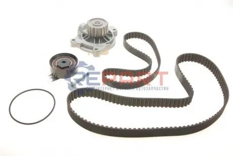 Фото Комплект ГРМ + помпа VW T4 2.4D 90-03, 55/57kw, AJA/AAB SKF (VKMC01271) зображення 1