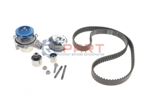 Комплект ГРМ + помпа Audi A3/A4/A5/A6/Q3/VW Caddy/T6 2.0TDI 15-/Golf VII 1.6TDI/2.0TDI 12- (25x145z) SKF VKMC012781 Купити в Україні