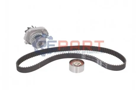 Комплект ГРМ + помпа Fiat Doblo/Fiorino 1.2-1.4 01- (22x129z) (VKPC 82100) SKF VKMC022062 Купити в Україні