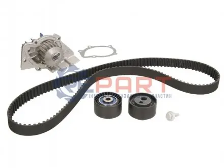 Комплект ГРМ + помпа Citroen Jumpy 2.0HDi (144x25) SKF VKMC03248 Купити в Україні