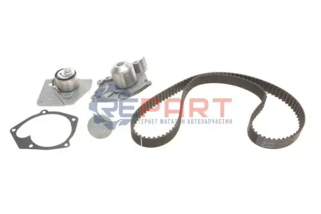 Комплект ГРМ + помпа Nissan Primera 1.9dCi 02-/Renault Scenic/Megane 1.9dCi 03-(26x133z) SKF VKMC06129 Купити в Україні