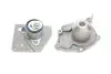 Фото Комплект ГРМ + помпа Nissan Primera 1.9dCi 02-/Renault Scenic/Megane 1.9dCi 03-(26x133z) SKF (VKMC06129) зображення 8