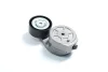 Ролик натяжной SKF (VKMCV56009) изображение 2