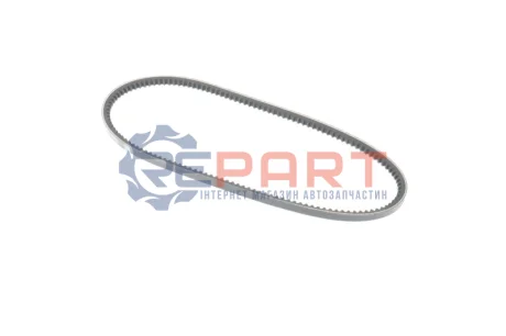 Фото Ремінь генератора Citroen CX/Fiat Uno -95 (10x838) SKF (VKMV10AVX838) зображення 1