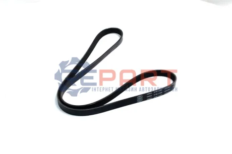 Фото Ремінь генератора VW Passat B5/Audi A4/A6 1.6/1.8 95- SKF (VKMV5PK1300) зображення 1