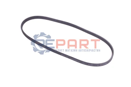 Фото Ремінь генератора VW T5 1.9TDI/VW Caddy III 1.9/2.0TDI (+AC) SKF (VKMV6DK1195) зображення 1