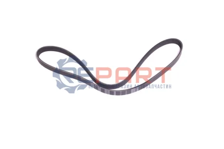 Ремінь генератора Renault Kangoo 1.5 dCi SKF VKMV6PK1199 Купити в Україні