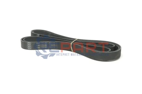Поліклиновий ремінь (7PK2682) FORD TRANSIT 2.4D/3.2D 04.06-08.14 SKF VKMV7PK2682 Купити в Україні