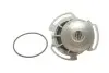 Насос охолоджуючої рідини, з ущільненням SEAT CORDOBA, CORDOBA VARIO, IBIZA II VW GOLF II, GOLF III, JETTA II, POLO, POLO CLASSIC, POLO II, VENTO 1.0-1.6 01.85-12.02 SKF VKPC81204 Купити в Україні