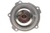 Фото Помпа води Audi A4/A6/Skoda Felicia/VW Golf/Caddy/Passat/Polo 1.9D/TDI/SDI 95- SKF (VKPC81615) зображення 4