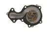 Фото Помпа води Ford C-Max II/Focus III/Mondeo V/Fiesta/Transit Courier 1.0 EcoBoost/1.1 12- SKF (VKPC84219) зображення 3