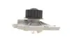 Фото Помпа води Ford Focus/Kuga/Mondeo 2.5ST/RS 05-/Renault Laguna 2.0 16V 95- (z=19) SKF (VKPC86618) зображення 2