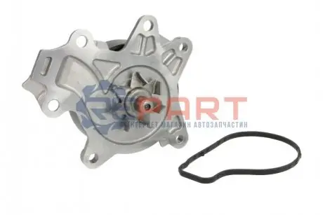Водяной насос TOYOTA RAV 4 IV (A4) 2.0 4WD 2012 - (Выр-во) SKF VKPC91866